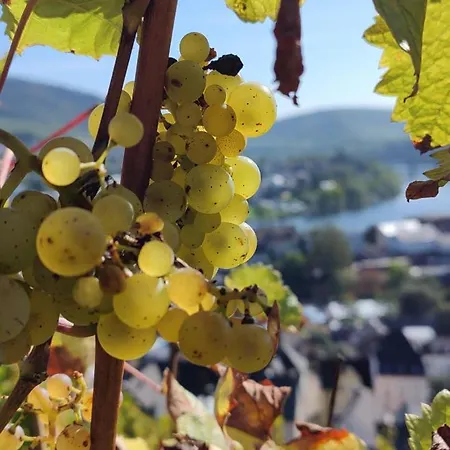 Katharina Ii アパート *