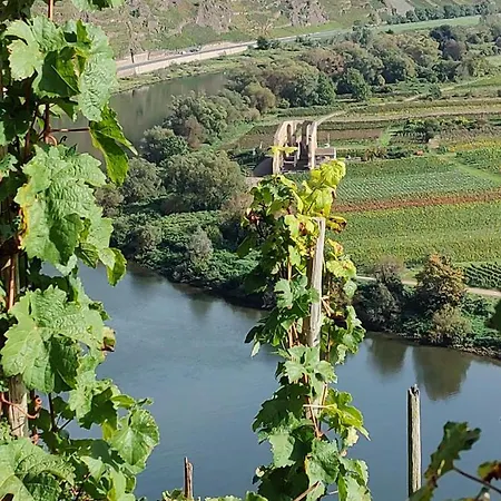 Katharina Ii アパート