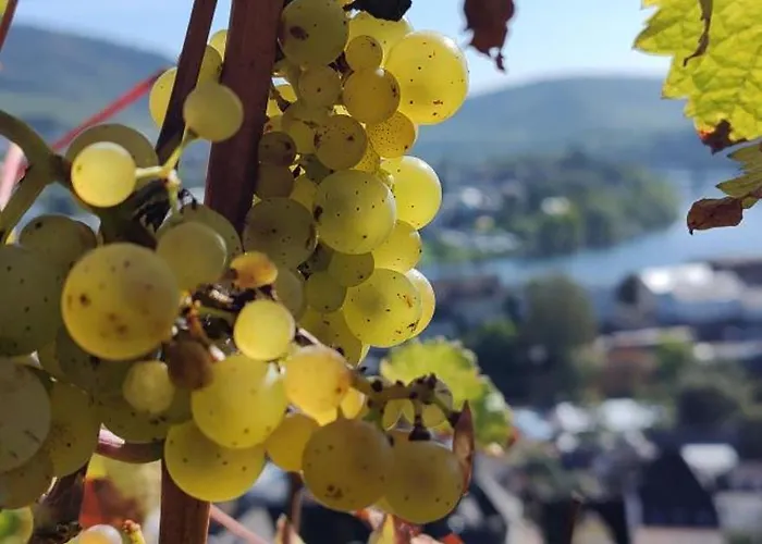 Katharina Ii Appartement *